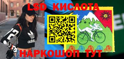 Альфа ПВП Краснознаменск