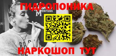 Альфа ПВП Краснознаменск