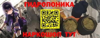 Альфа ПВП Краснознаменск