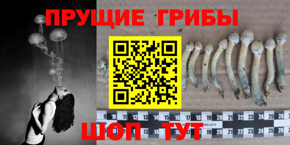 Дубна  Галлюциногенные грибы ЛСД  закладка  Вход с VPN 